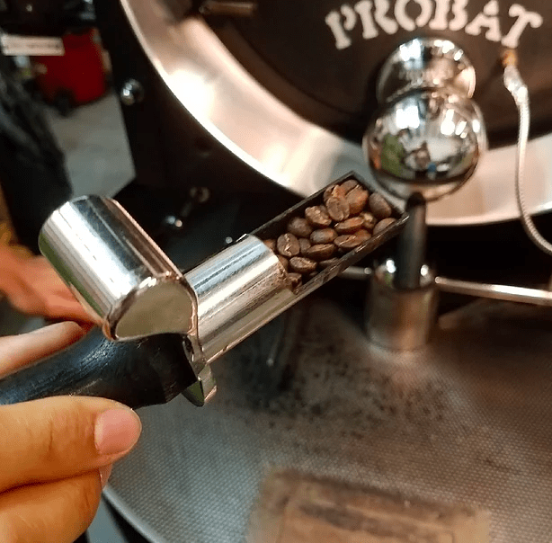 Brew Better: Why We Love Carolina Coffee Company’s Fresh-Roasted Beans - Small Batch Specialty Gifts