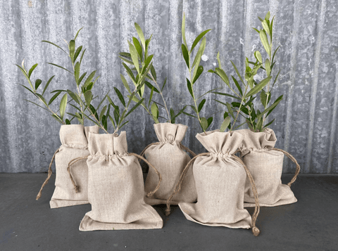 For the Garden