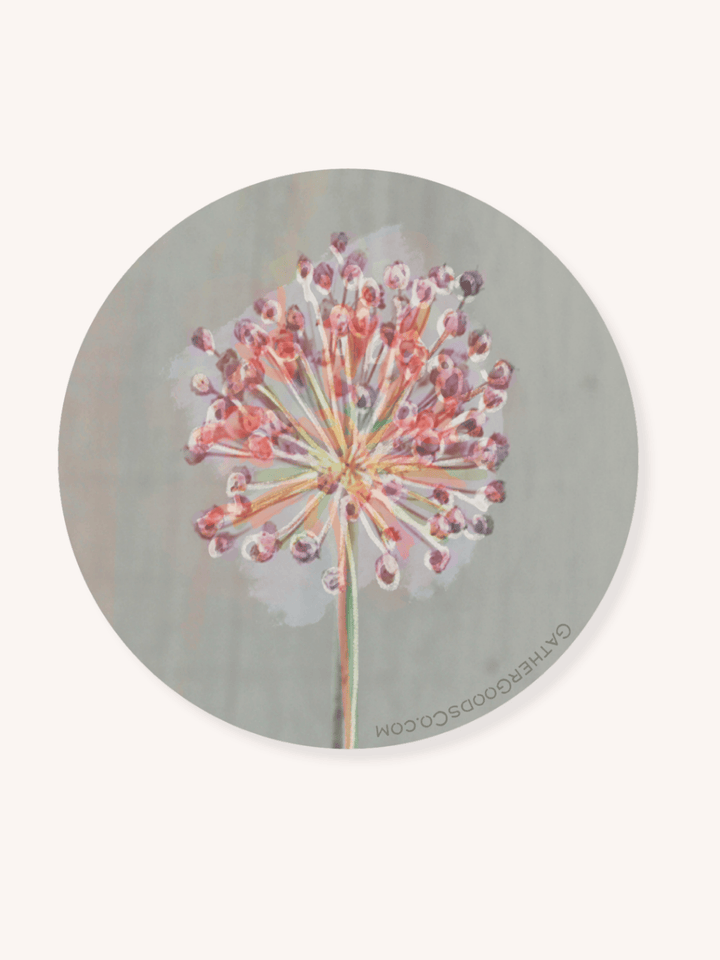 Chive Blossom Flower Coaster, Set of 4, Botanical Flower Art