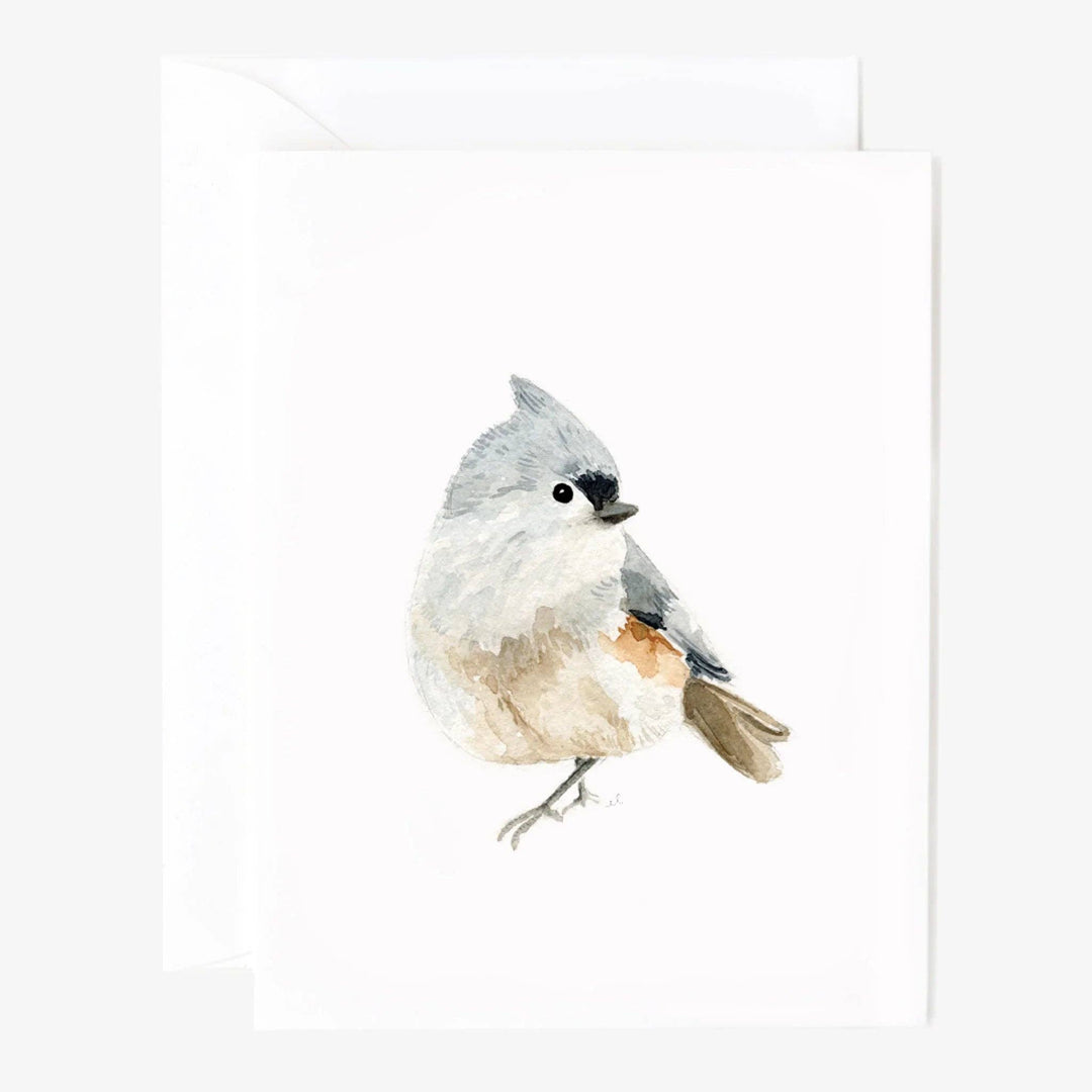 Emily Lex Birds Assorted Notecards Set