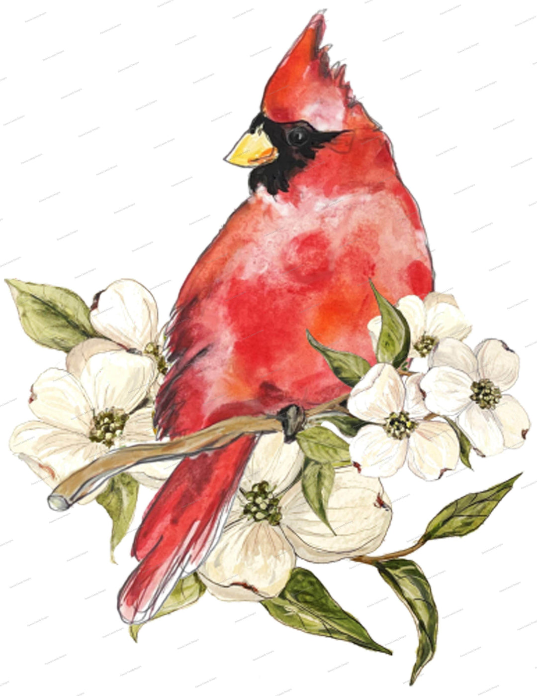 Cardinal with Flowering Dogwood Kitchen Towel