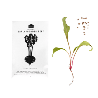 Organic Vegetable Seed Packets Grow your own veggies!  Includes 5 different types of vegetable seeds with exclusive RT1home packaging.
