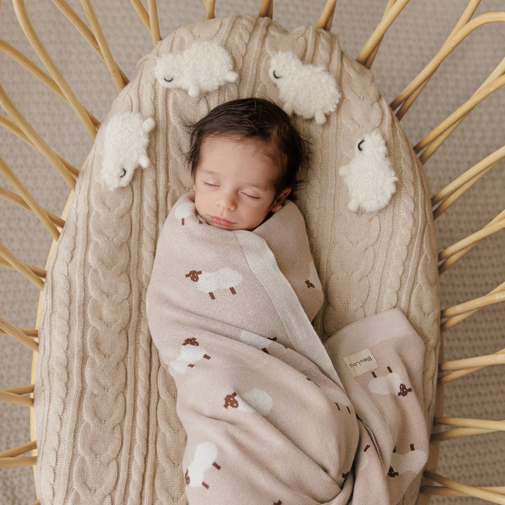 Newborn baby sleeping in a wicker basket with a textured blanket featuring cloud patterns.