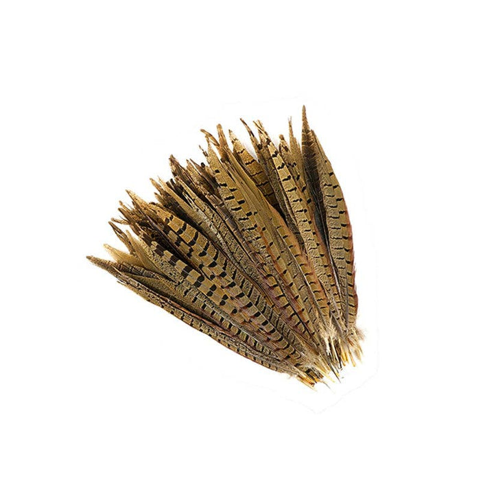 Ringneck Pheasant Tails - Natural - 10 - 12"