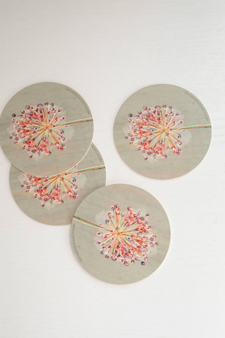 Chive Blossom Flower Coaster, Set of 4, Botanical Flower Art