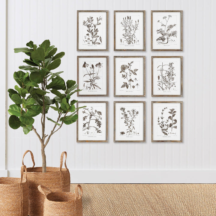 Rustic Foliage Study