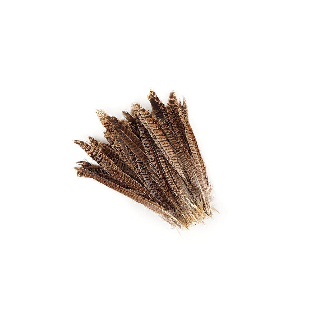 10 PC/PKG Female Ringneck Pheasant Tails 6-8"- Natural