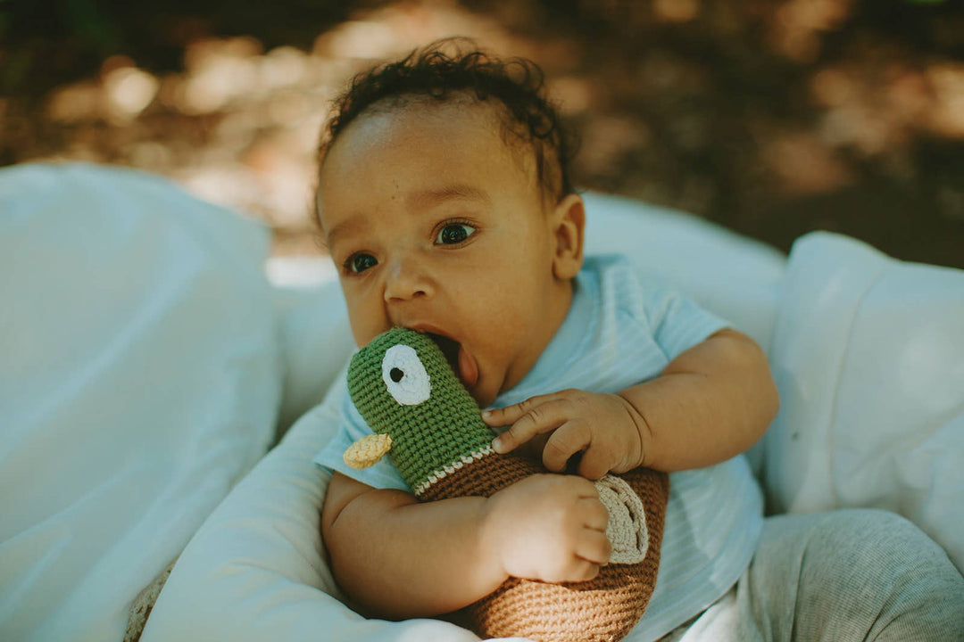 Playful Mallard Baby Plush Toy - Organic Cotton Crochet