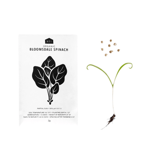 Organic Vegetable Seed Packets Grow your own veggies!  Includes 5 different types of vegetable seeds with exclusive RT1home packaging.
