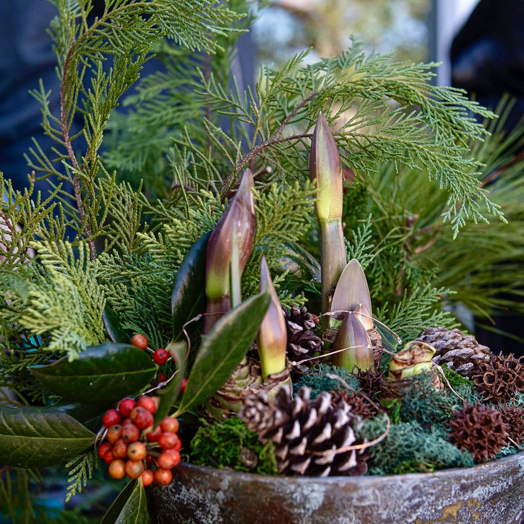 A rustic metal bucket planter filled with a winter evergreen arrangement, including green pine branches, brown pinecones, dark green leaves, and a small cluster of red berries, photographed in an outdoor setting with blurred people in the background.