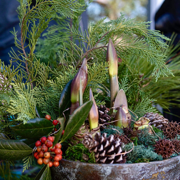 A rustic metal bucket planter filled with a winter evergreen arrangement, including green pine branches, brown pinecones, dark green leaves, and a small cluster of red berries, photographed in an outdoor setting with blurred people in the background.