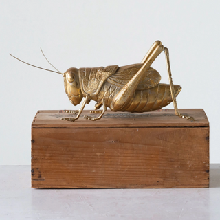 Add this little cricket  to a shelf, mantel or coffee table to add some spice to the room decor.   10-1/2"L x 4-1/4"H Resin Cricket, Gold Finish