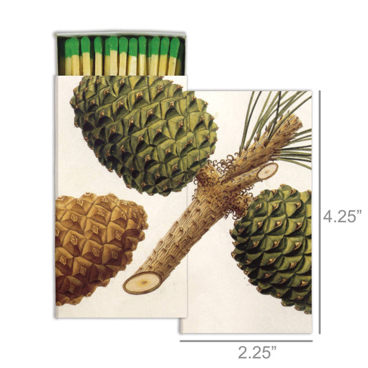 Matchbox with illustrations of pine cones and a branch on a white background