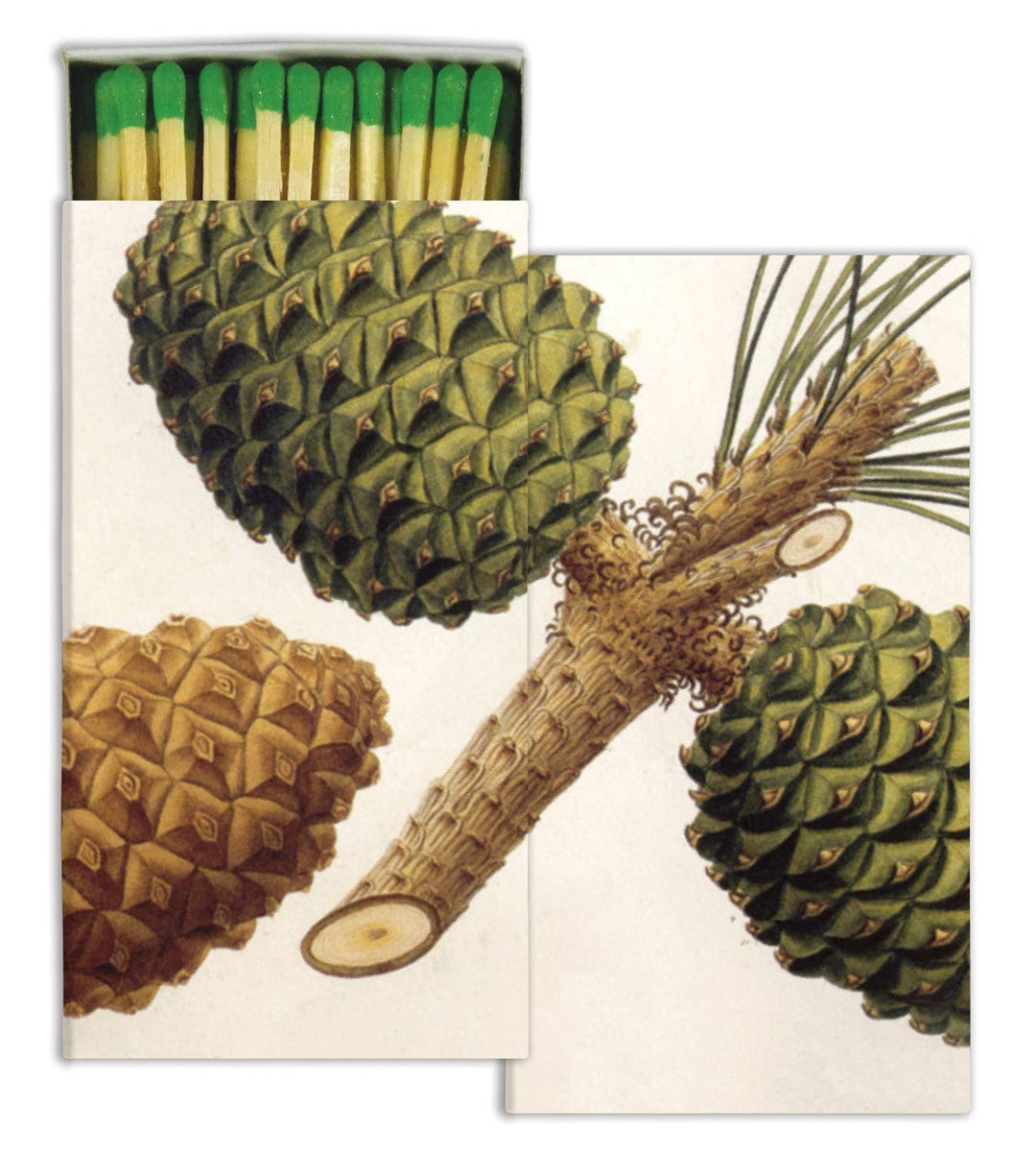 Matchbox with illustrations of pine cones and a branch on a white background