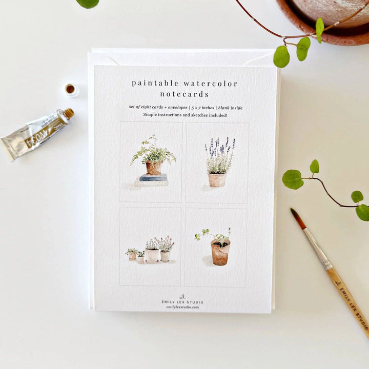 Packaging of paintable watercolor notecards with plant illustrations on a light surface.