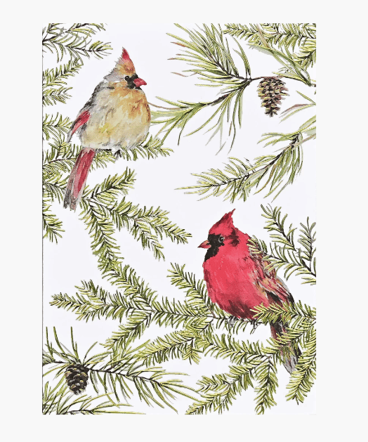 Cardinal birds on pine branches with cones on a white background