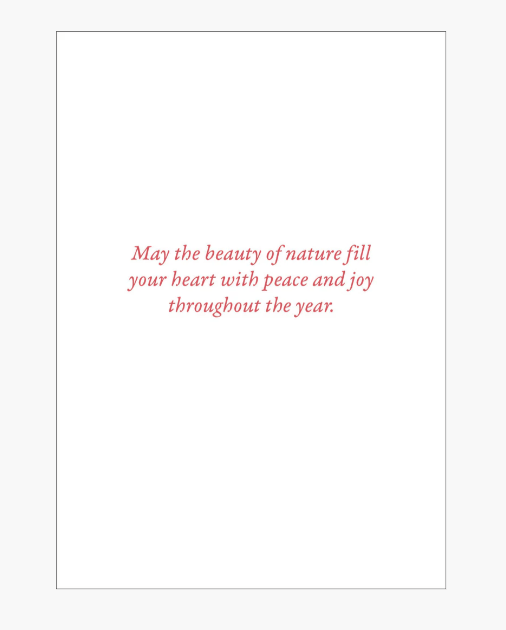 Motivational quote on a white background with a pink border.