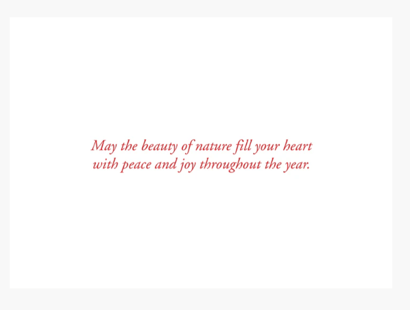 Deluxe Boxed Holiday Cards