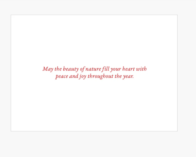 Red text on a white background with a motivational quote.