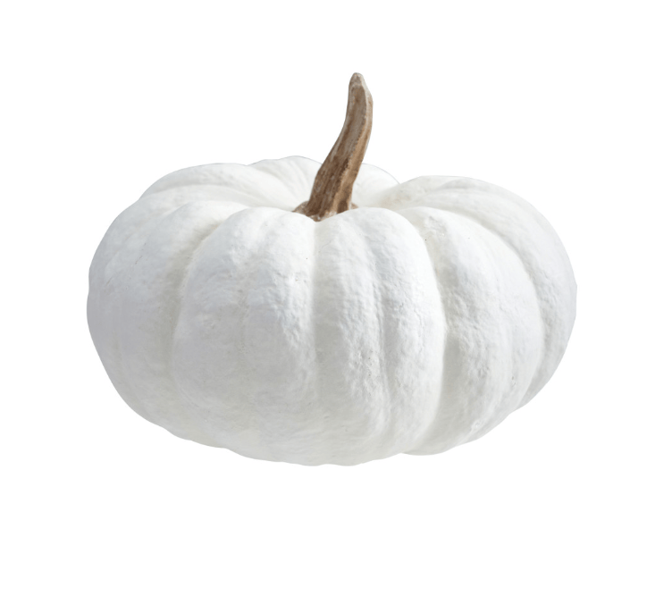 Resin Pumpkin