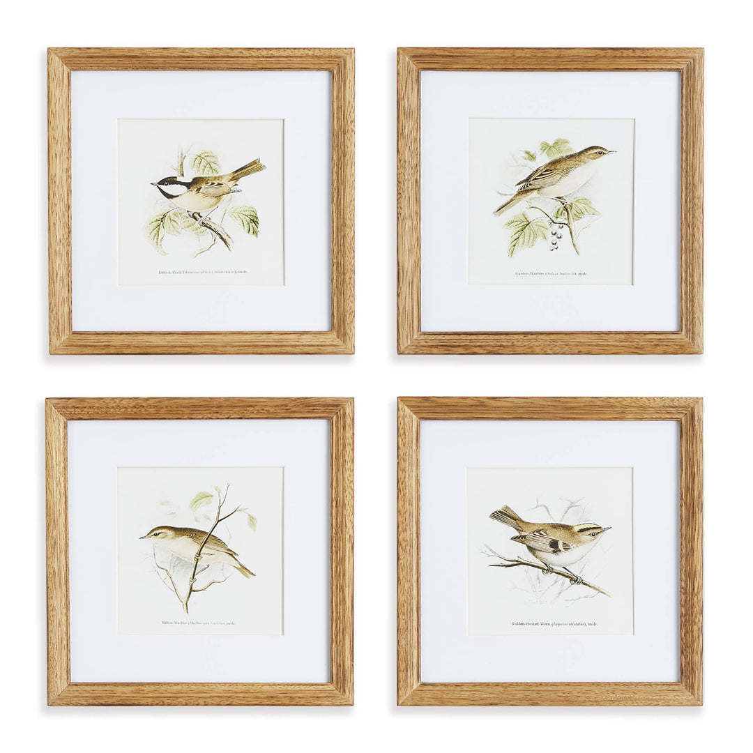 Four framed prints of birds on a white background