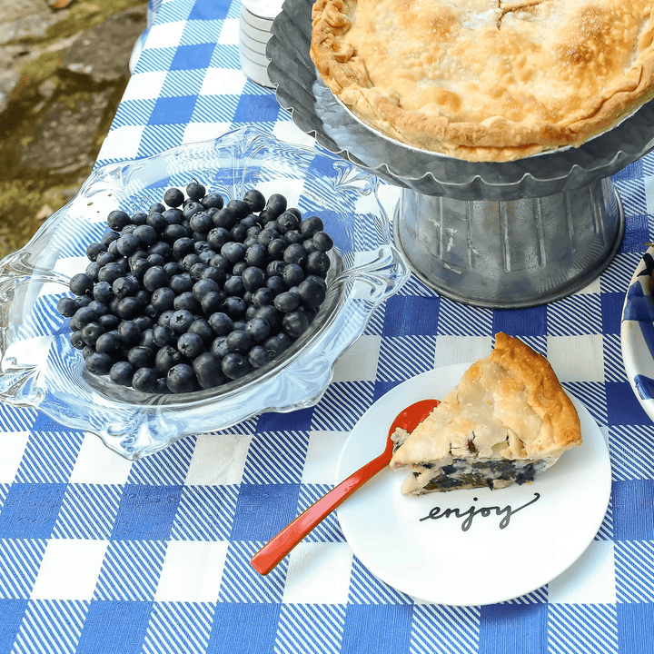 A slice of blueberry pie on a white plate with a red spoon, set on a blue and white checkered tablecloth next to a glass bowl of fresh blueberries and a whole pie on a metal stand.