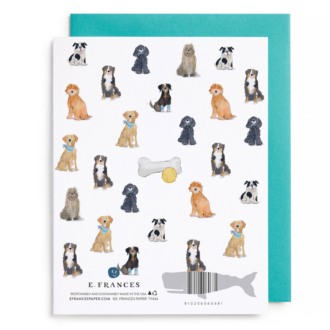 Card with illustrations of dogs and a bone on a white background with teal border