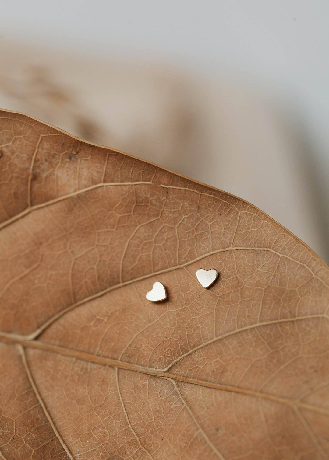 Heart-shaped earrings on a brown leaf with a blurred background