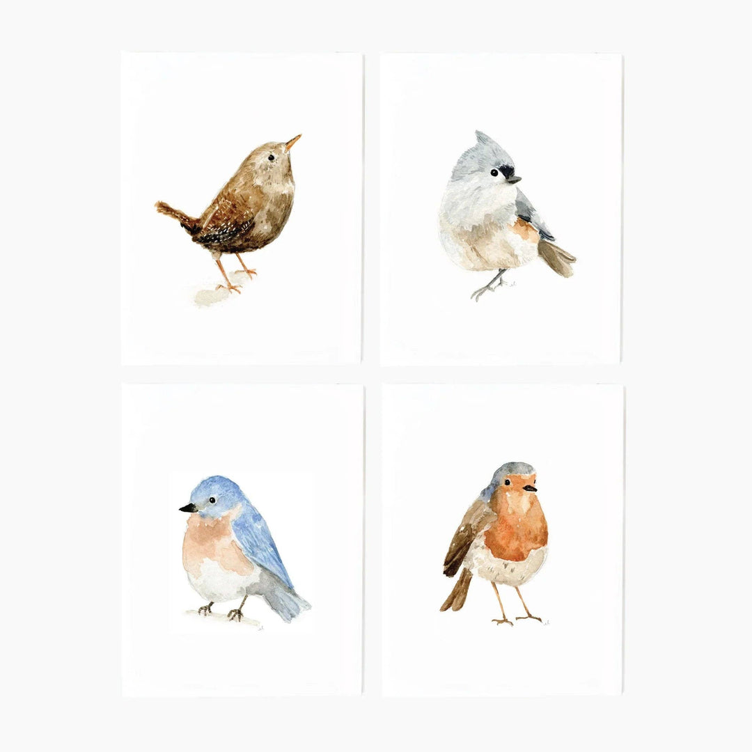 Four different bird illustrations on a white background