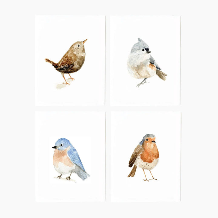 Four different bird illustrations on a white background