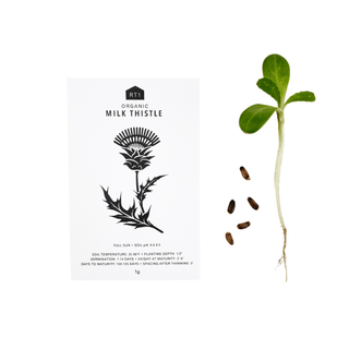 Medicinal Herb Seeds - Pack of 5