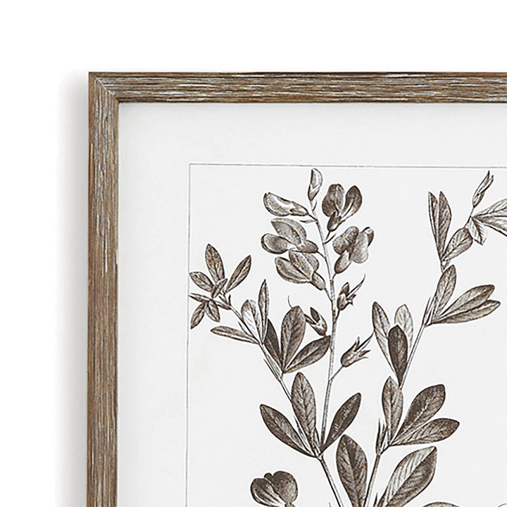 Rustic Foliage Study