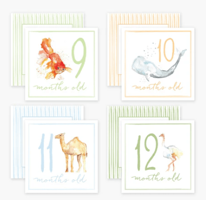 Anne Neilson Milestone Cards
