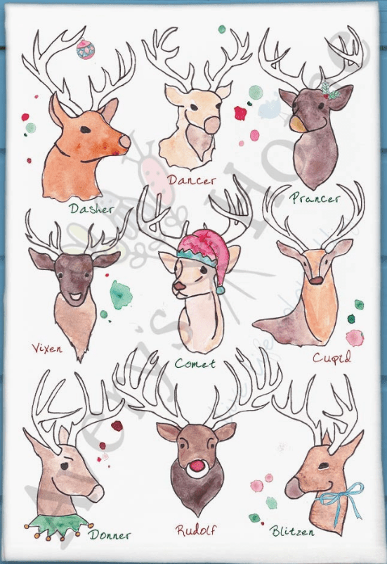 Avery's Home Cotton Tea Towels