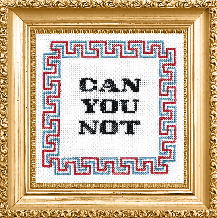 Cross-stitched phrase 'CAN YOU NOT' in a decorative gold frame with Greek key border.