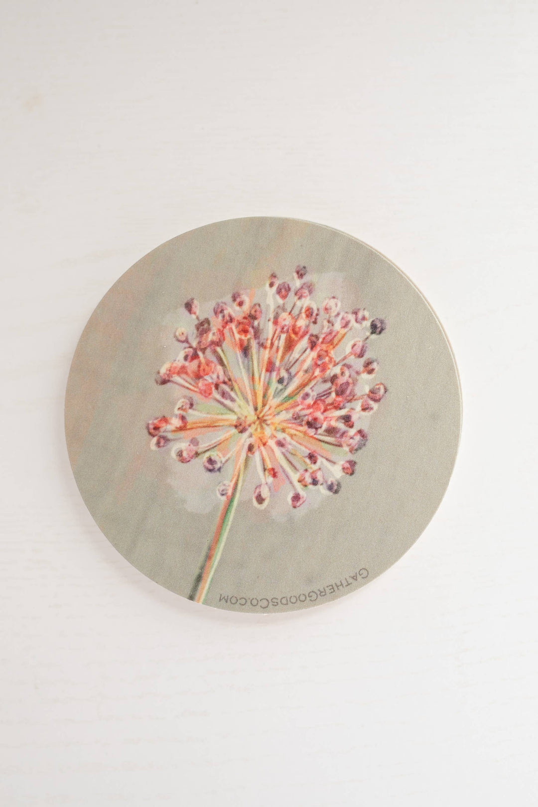 Chive Blossom Flower Coaster, Set of 4, Botanical Flower Art