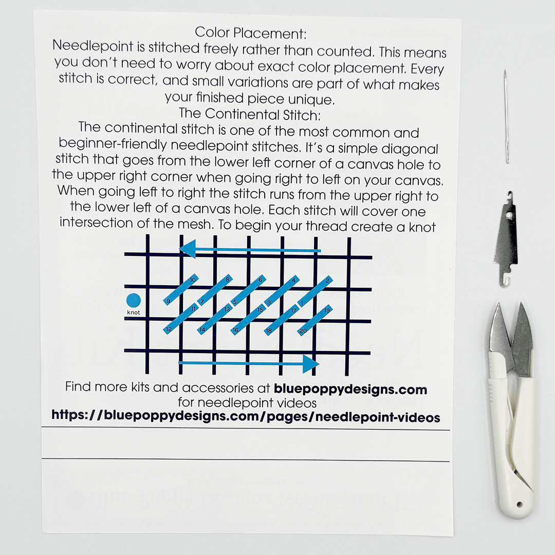 Instructional sheet on needlepoint with text and diagrams, accompanied by needle and thread tools on a white background.