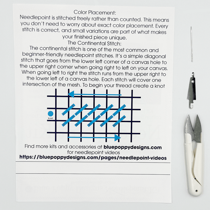Instructional sheet on needlepoint with text and diagrams, accompanied by needle and thread tools on a white background.