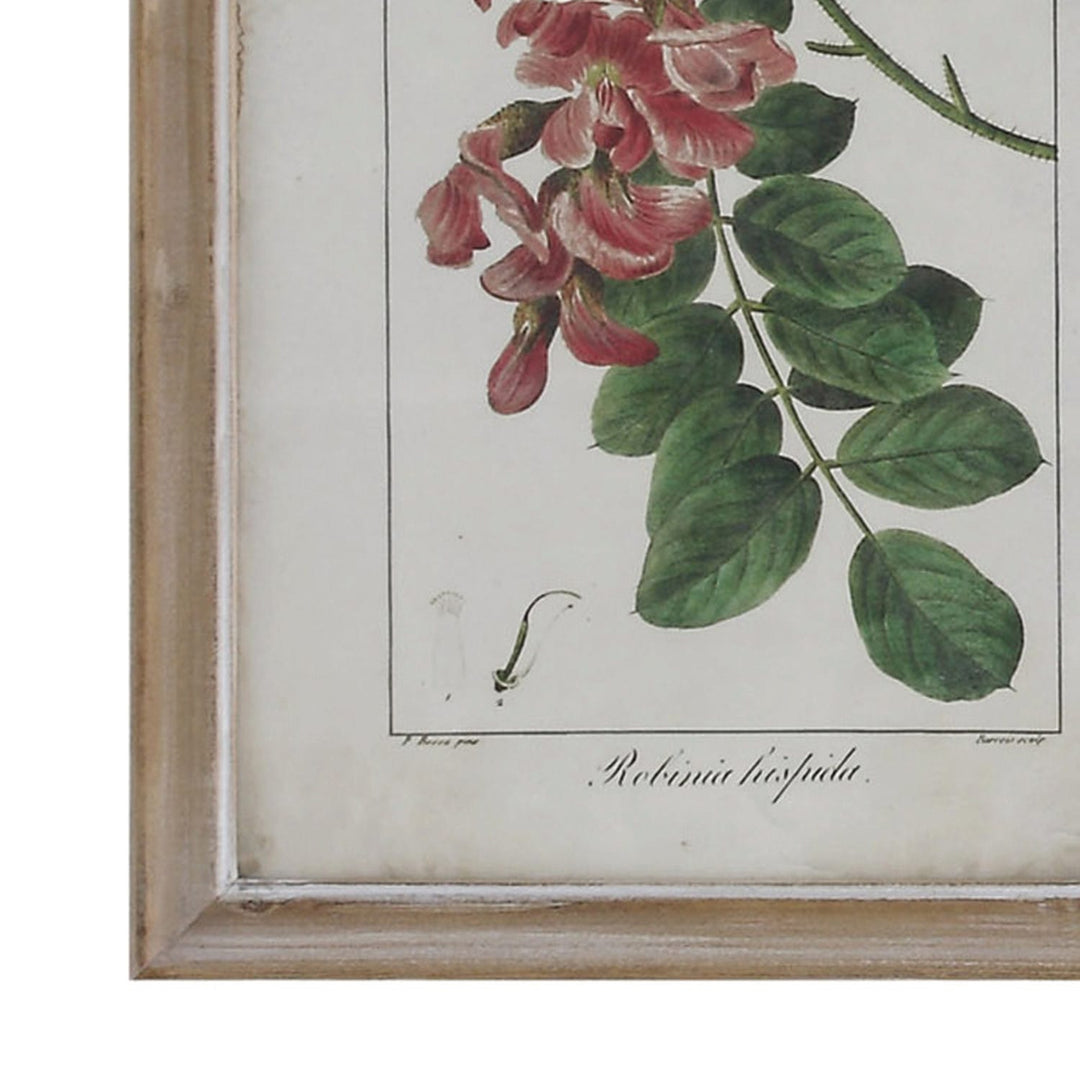 Framed botanical illustration of red flowers and green leaves on a white background