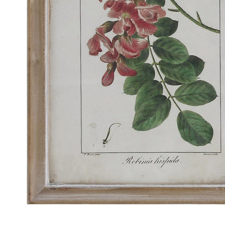 Framed botanical illustration of red flowers and green leaves on a white background