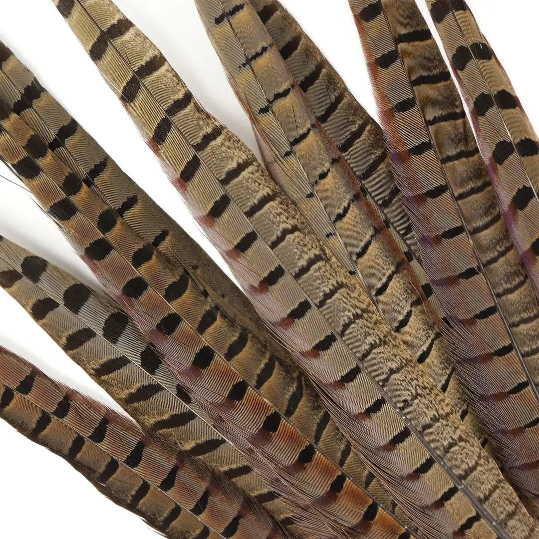 Pheasant Tails Assorted Natural -14-18"