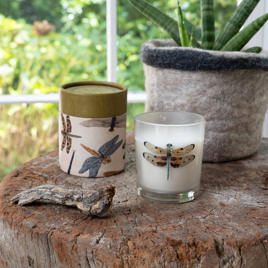 Candle with dragonfly design and matching container on a wooden surface with a plant in the background.