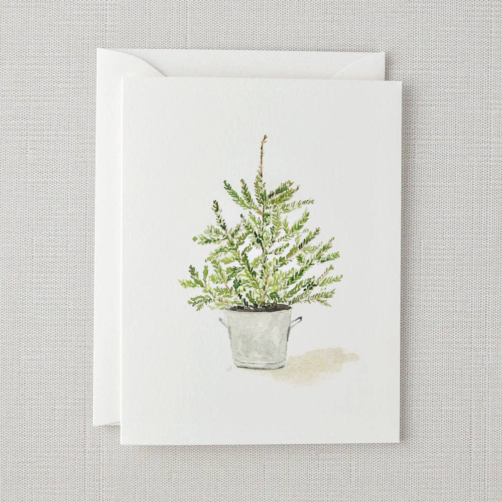 Evergreen notecard set - Small Batch Specialty Gifts