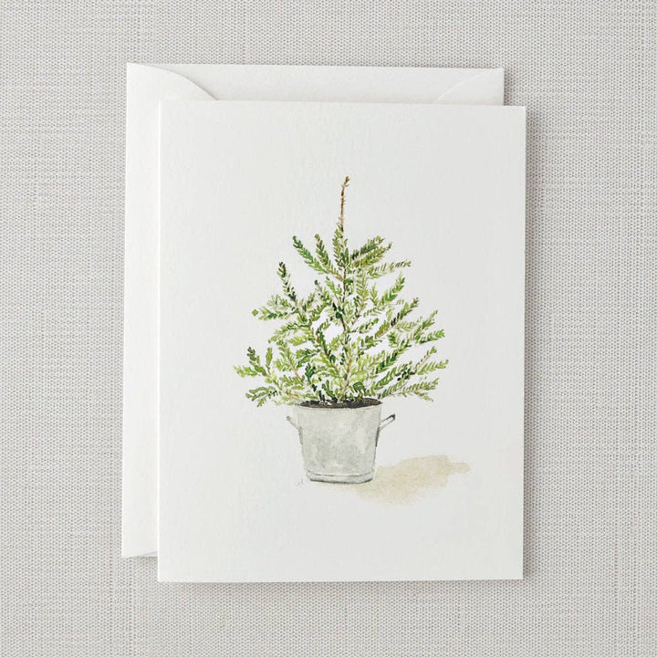Evergreen notecard set - Small Batch Specialty Gifts