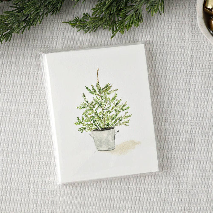 Evergreen notecard set - Small Batch Specialty Gifts