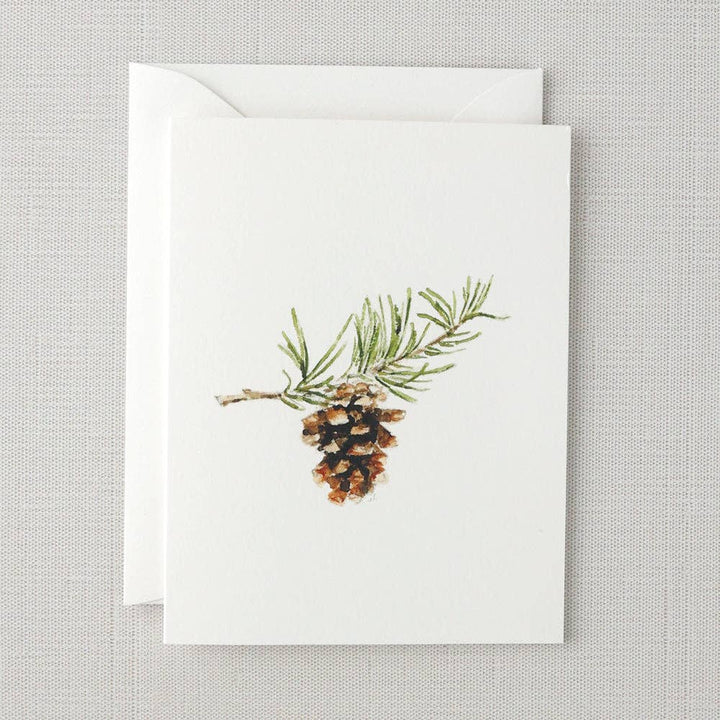 Evergreen notecard set - Small Batch Specialty Gifts