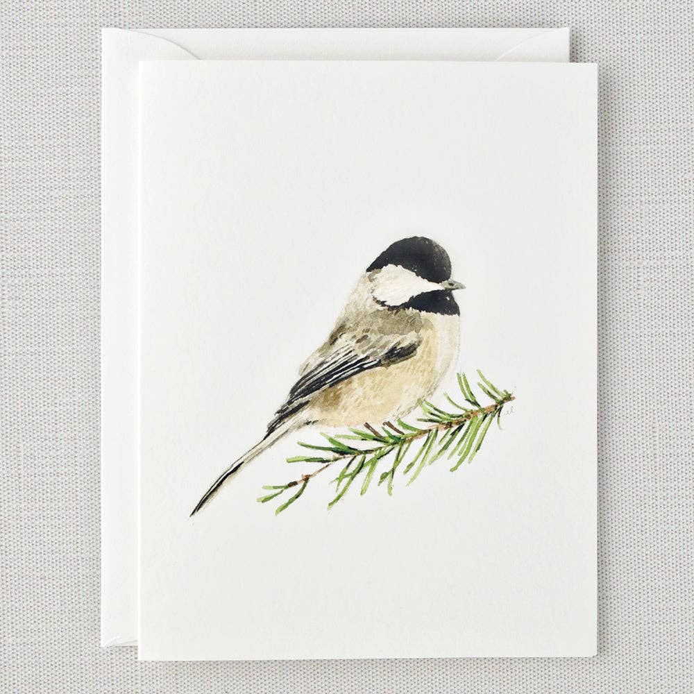 Evergreen notecard set - Small Batch Specialty Gifts