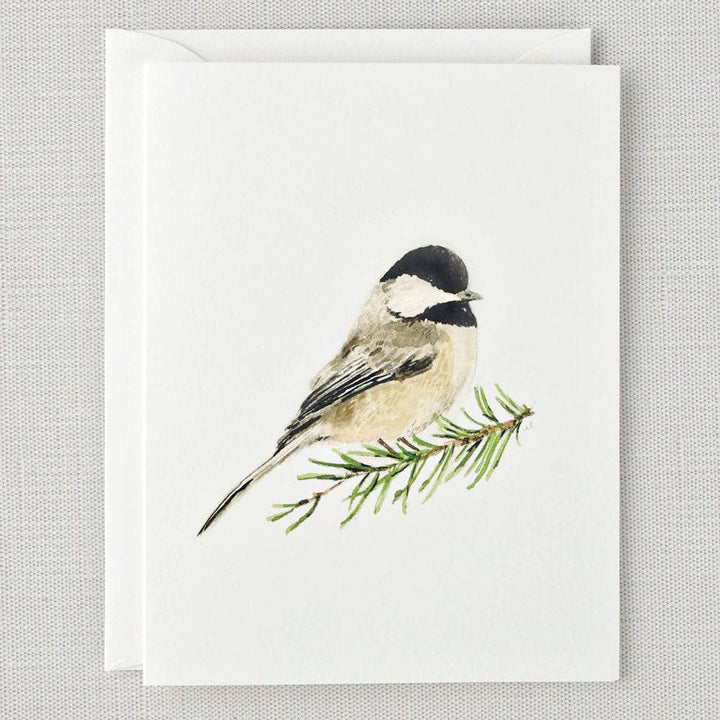 Evergreen notecard set - Small Batch Specialty Gifts