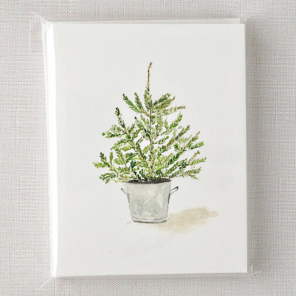 Evergreen notecard set - Small Batch Specialty Gifts