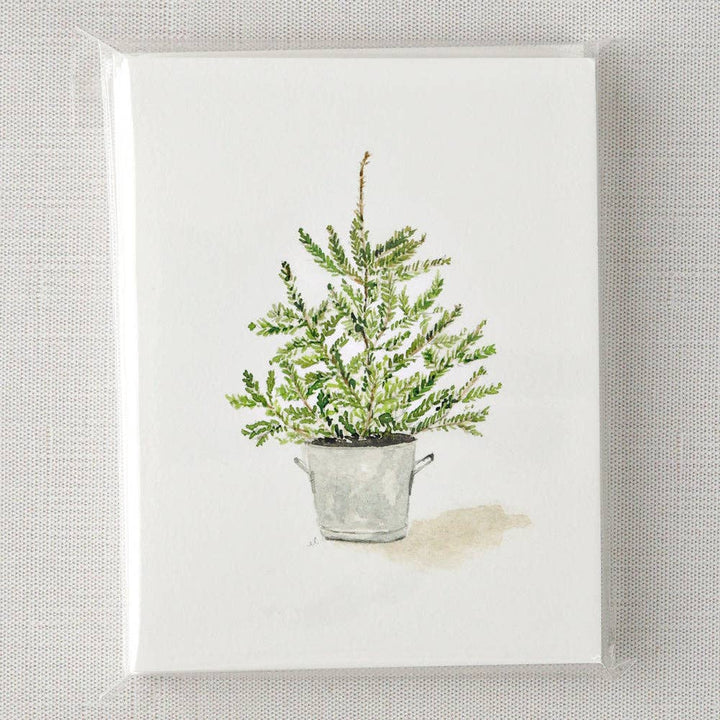Evergreen notecard set - Small Batch Specialty Gifts